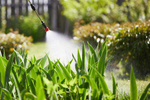 24/7 Emergency Wasp Removal experts in Springfield, NJ