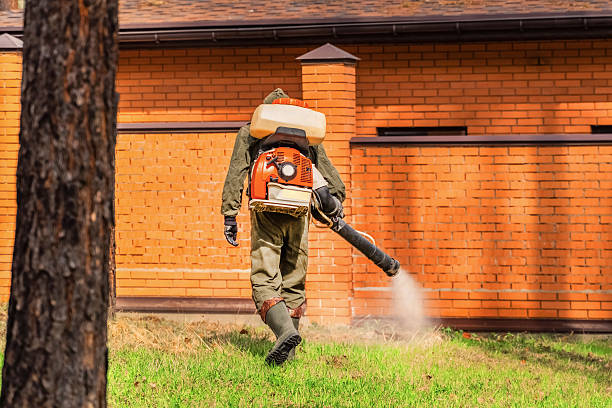 Top rated local Wasp Removal specialists in Springfield, NJ